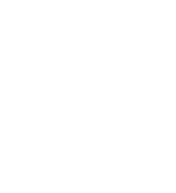 United Nations Security Council